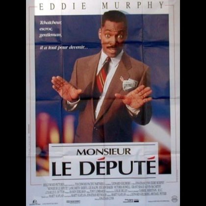 MONSIEUR LE DEPUTE - Titre original : THE DISTINGUISHED GENTLEMAN