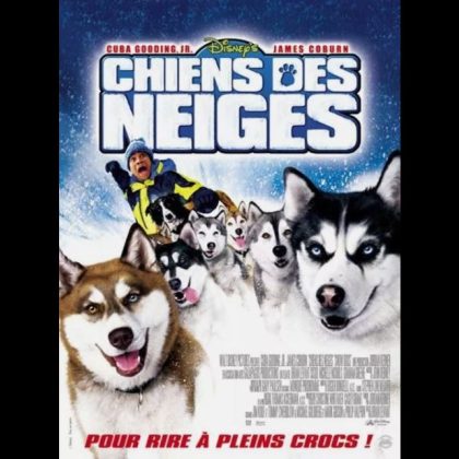 CHIENS DES NEIGES
