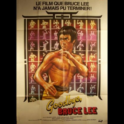 GOODBYE, BRUCE LEE - Titre original : HIS LAST GAME OF DEATH