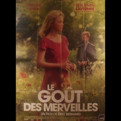 LE GOUT DES MERVEILLES