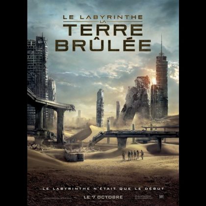 LE LABYRINTHE : TERRE BRULEE