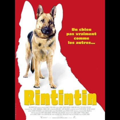 RINTINTIN