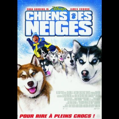 CHIENS DES NEIGES