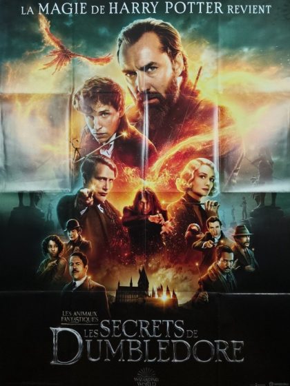 LES SECRETS DE DUMBLEDORE