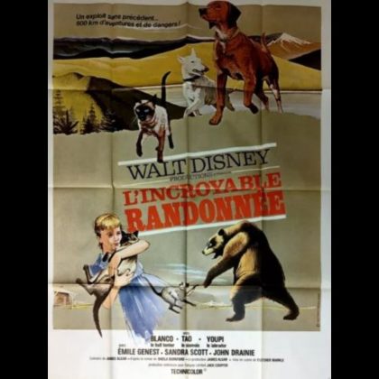 L'INCROYABLE RANDONNEE - Titre original : THE INCREDIBLE JOURNEY