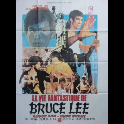 LA VIE FANTASTIQUE DE BRUCE LEE