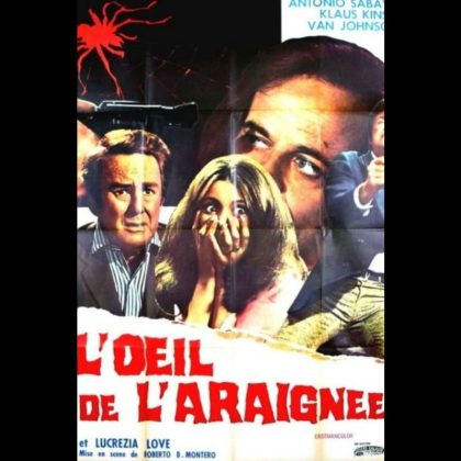 L'ŒIL DE L'ARAIGNEE
