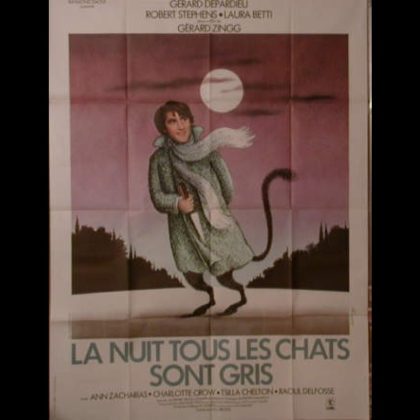 LA NUIT TOUS LES CHATS SONT GRIS