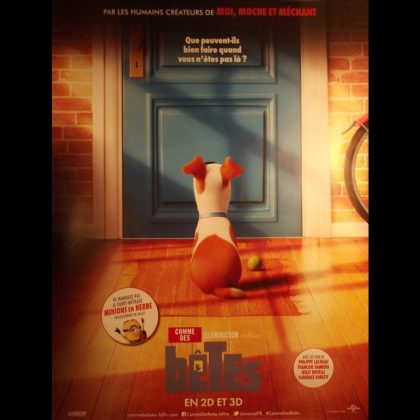 COMME DES BETES - Titre original :  THE SECRET LIFE OF PETS 2