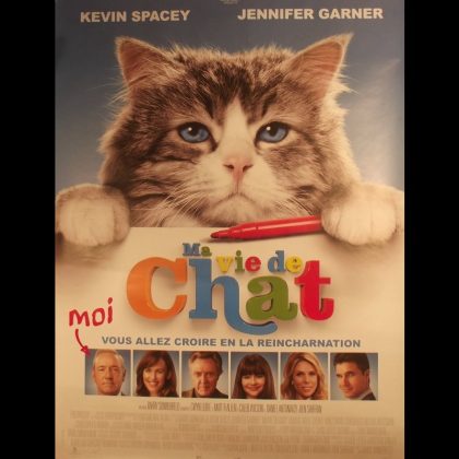 MA VIE DE CHAT - Titre original : NINE LIVES