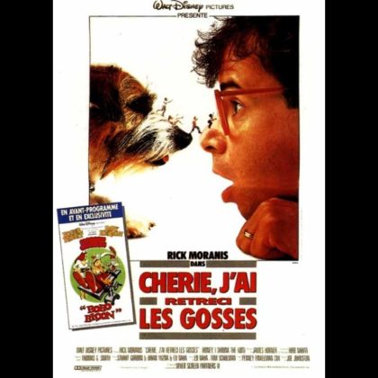 CHERIE, J'AI RETRECI LES GOSSES - HONEY, I SHRUNK THE KIDS